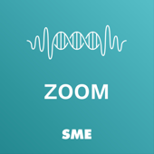 Zoom